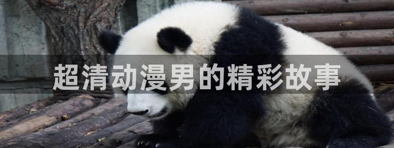 风车动漫_在线观看：超清动漫男的精彩故事