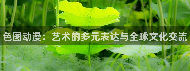 风车动漫专注动漫门户：色图动漫：艺术的多元表达与全球文化交流