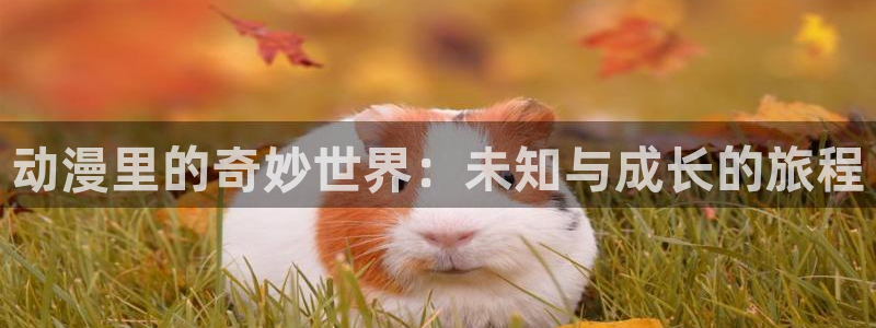 恋爱暴君风车动漫：动漫里的奇妙世界：未知与成长的旅程