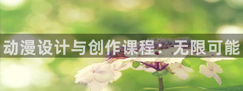 风车漫画下载安装：动漫设计与创作课程：无限可能