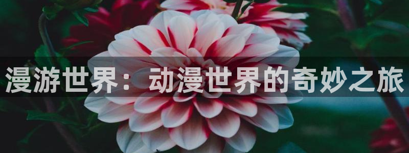 遮天风车动漫：漫游世界：动漫世界的奇妙之旅