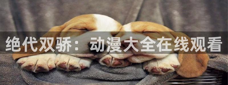 风车动漫免费下载：绝代双骄：动漫大全在线观看